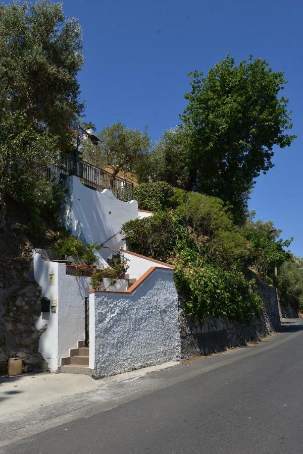 La Fenice -White House- Homeinsorrento- Massa Lubrense Εξωτερικό φωτογραφία